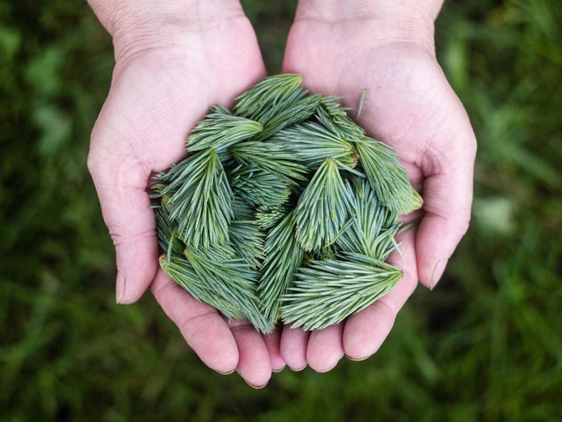Ritual spa: scrub corporal si impachetare cu miere
